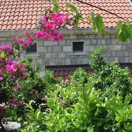 In With Sea View, Terrace, Air Conditioning, Wifi 5197-4 * Saplunara