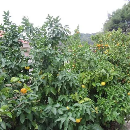 In With Sea View, Terrace, Air Conditioning, Wifi 5197-4